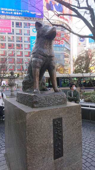 金子力とその仲間たち☆chikara kaneko