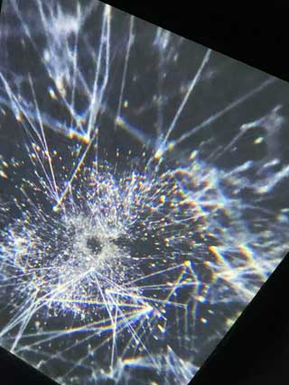 金子力とその仲間たち☆chikara kaneko