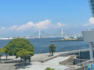 金子力とその仲間たち☆chikara kaneko