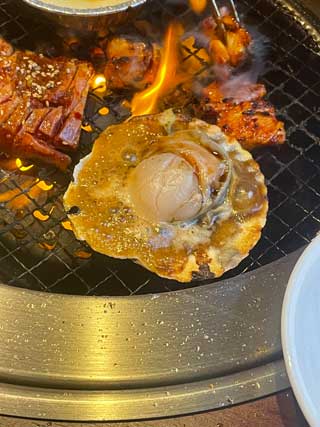 金子力とその仲間たち☆chikara kaneko