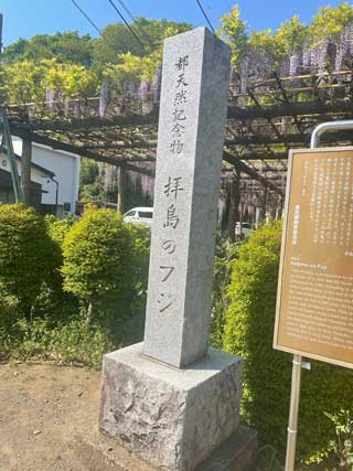 金子力とその仲間たち☆chikara kaneko