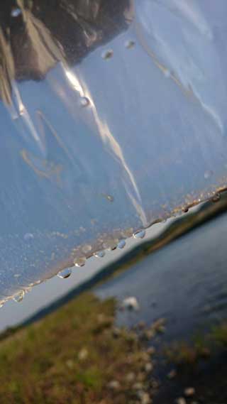 金子力とその仲間たち☆chikara kaneko