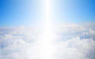 金子力とその仲間たち☆chikara kaneko