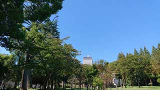 イベントLINE友達仲間飲み会オフ会横浜・東京社会人サークル交流パーティ