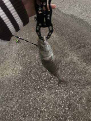 イベントLINE友達仲間飲み会オフ会横浜・東京社会人サークル交流パーティ