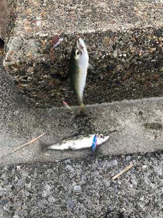 イベントLINE友達仲間飲み会オフ会横浜・東京社会人サークル交流パーティ