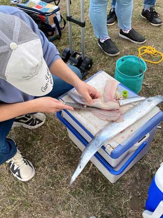イベントLINE友達仲間飲み会オフ会横浜・東京社会人サークル交流パーティ