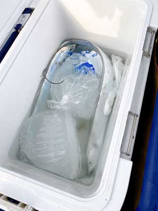 イベントLINE友達仲間飲み会オフ会横浜・東京社会人サークル交流パーティ