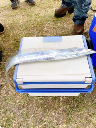 イベントLINE友達仲間飲み会オフ会横浜・東京社会人サークル交流パーティ