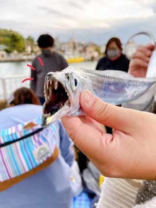 イベントLINE友達仲間飲み会オフ会横浜・東京社会人サークル交流パーティ