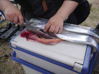 イベントLINE友達仲間飲み会オフ会横浜・東京社会人サークル交流パーティ