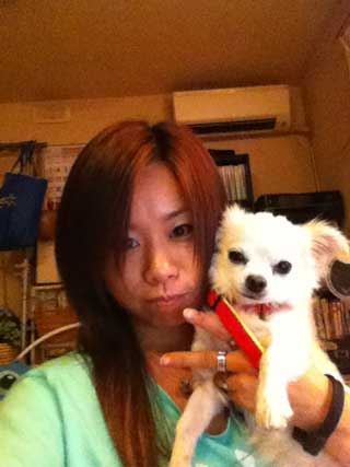 愛犬ロングコートチワワのくぅー☆ちゃん☆