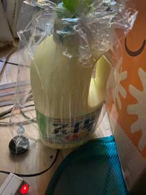 ｃｋ金子力の部屋の物