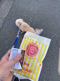 ｃｋ金子力の部屋の物