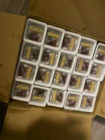 ｃｋ金子力の部屋の物