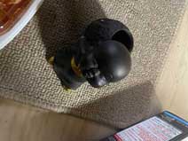 ｃｋ金子力の部屋の物