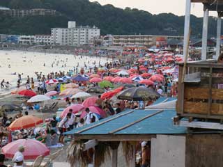 金子力の独り言ｃｋ