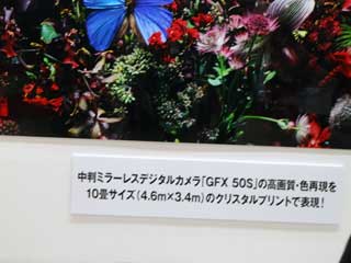 金子力の独り言ｃｋ