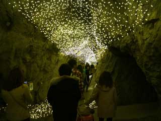 金子力の独り言ｃｋ