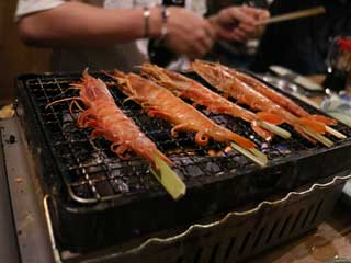 金子力の独り言ｃｋ