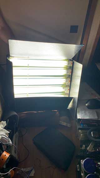 金子力の独り言ｃｋイベントＬＩＮＥ友達飲み会オフ会横浜・東京社会人サークル交流会