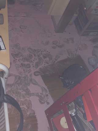 金子力の独り言ｃｋイベントＬＩＮＥ友達飲み会オフ会横浜・東京社会人サークル交流会