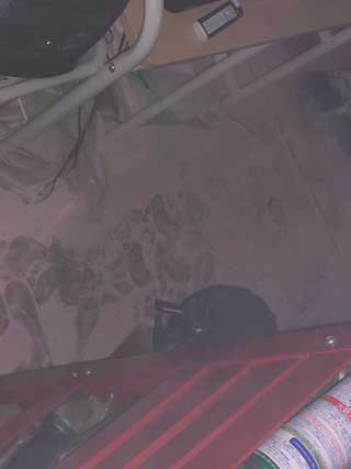 金子力の独り言ｃｋイベントＬＩＮＥ友達飲み会オフ会横浜・東京社会人サークル交流会