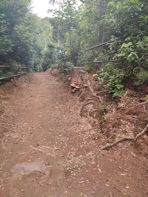 金子力の独り言ｃｋイベントＬＩＮＥ友達飲み会オフ会横浜・東京社会人サークル交流会